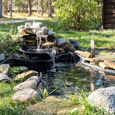 Rustic Cozy Cabin With Hot Tub Bragg Creek Dış mekan fotoğraf