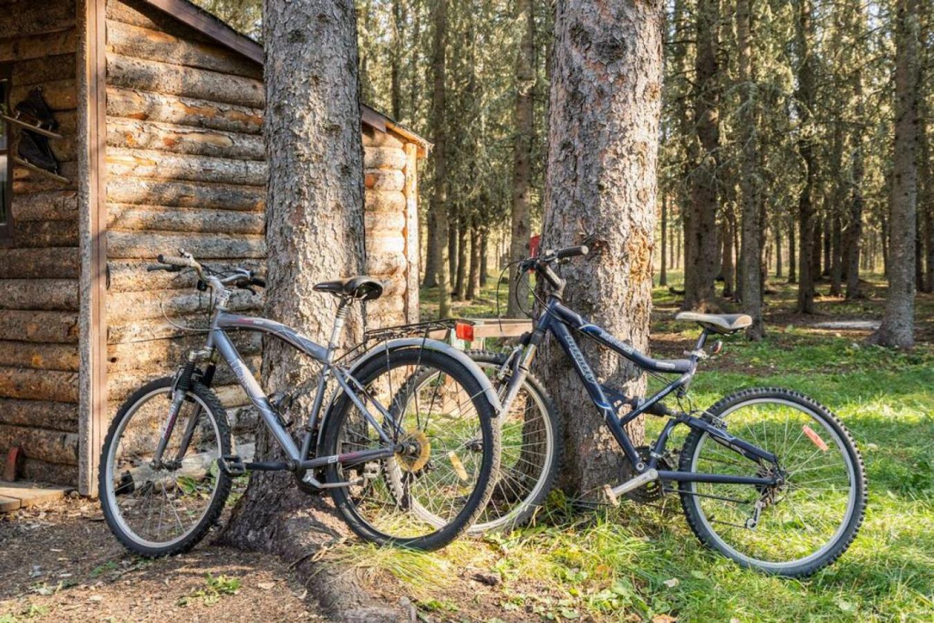 Rustic Cozy Cabin With Hot Tub Bragg Creek Dış mekan fotoğraf